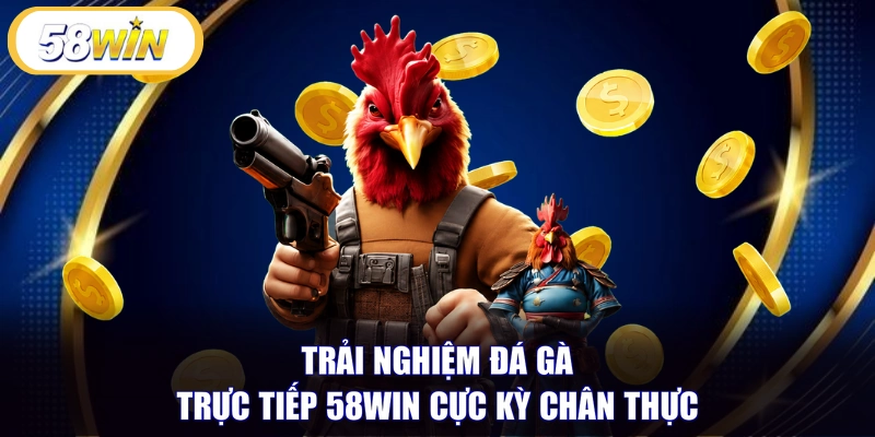 Trải nghiệm đá gà trực tiếp 58WIN cực kỳ chân thực